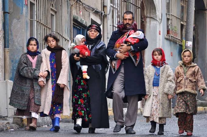 я видел солнце 2009