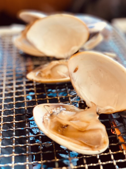 アワビ✨といきたいとこでしたが、、 ハマグリ〜食べまくり  皆さん貝類お好きでしょ？ 笑 https://t.co/9nGqEeS2Hq