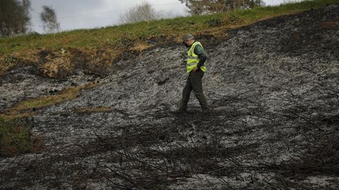 UGTForestales's tweet photo. El agresor del agente forestal se encontraba quemando un monte con un soplete.
#LeyBasicaAAMM
#StopAgresionesAAMM
https://t.co/ZWniBSQa3L vía @lavozdegalicia https://t.co/QudXLmJV4g
