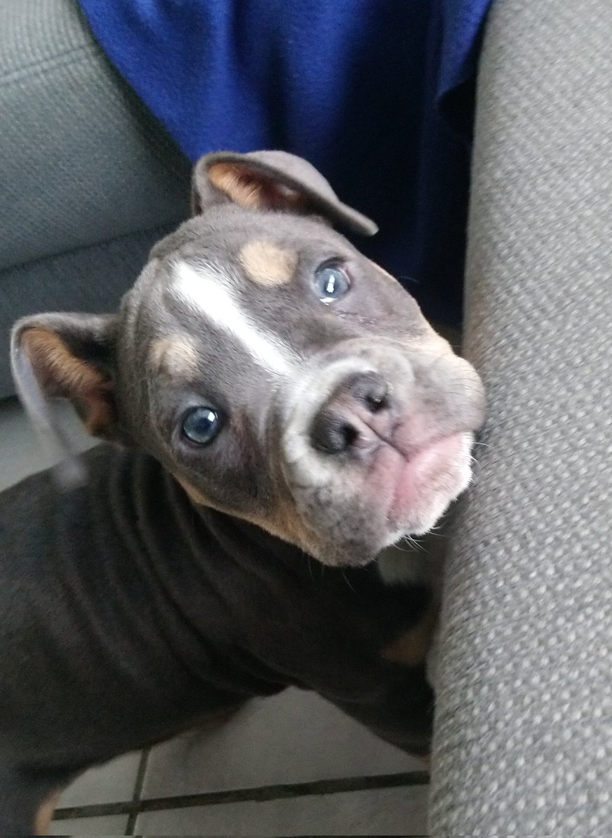 andy___80's tweet image. Nieuwe vriend in huis. 😍