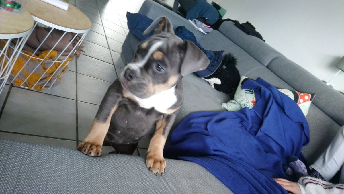 andy___80's tweet image. Nieuwe vriend in huis. 😍