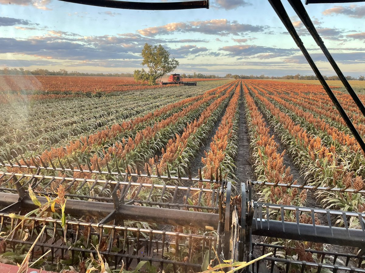 What an end to a day