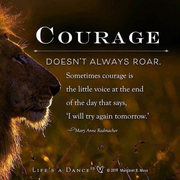KOAedinburgh's tweet photo. https://t.co/tj4eSohr7L