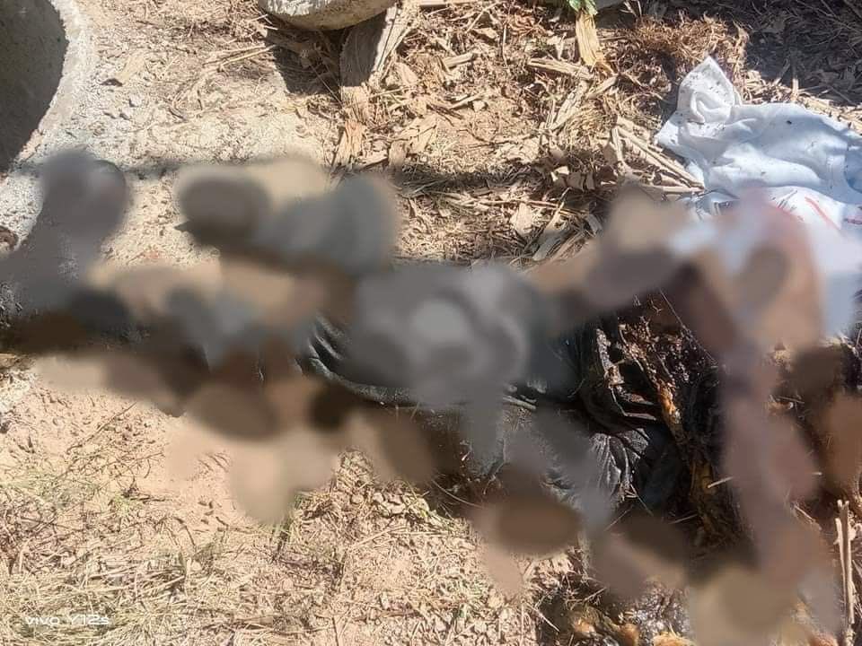 GiGi71908391's tweet photo. The dead bodies of 3 local men including 2 men of over 30 yo and a 50 yo man who had been killed by junta troops since 2 wks, were found in a pit of Kayawpine ward,Demoso town, Kayah state ystd. #GlobalArmsEmbargo #2022Feb6Coup #WhatsHappeningInMyanmar https://t.co/zSW8IUFk3N