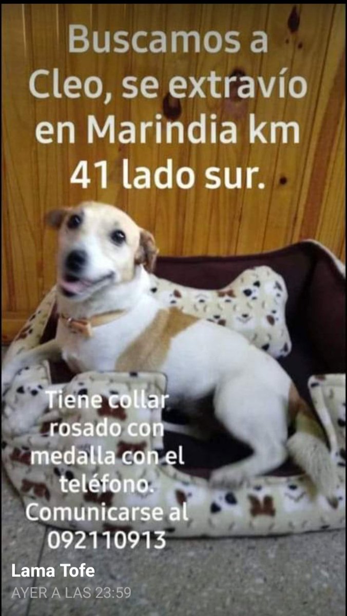 Atención Costa de Oro