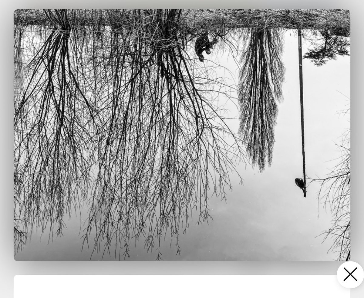 _WMedia_'s tweet photo. Father &amp; son - iReflections up for verification at @jpgstoreNFT Will finish my first collection of the world upside down in the water made by iPhone soon.https://t.co/JLKIK8ytCK #Cardano #cnftproject #CNFTdrop https://t.co/MJG7ONpOsm