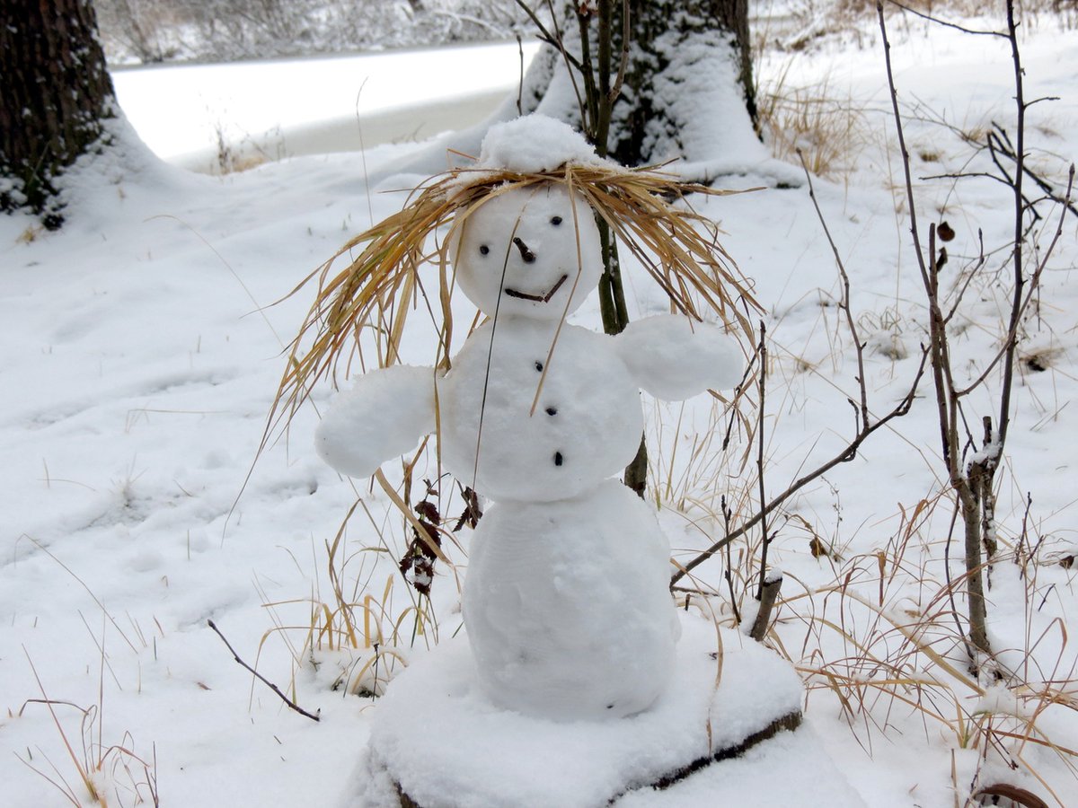 Снежная баба. Снеговик во дворе. Снежная баба в платке. Снежная баба во дворе.