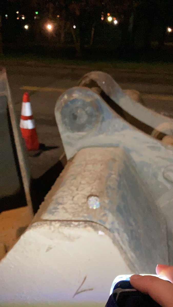 sunmonkey9's tweet image. #monkeyshines2022 👀 am I in the wright place?