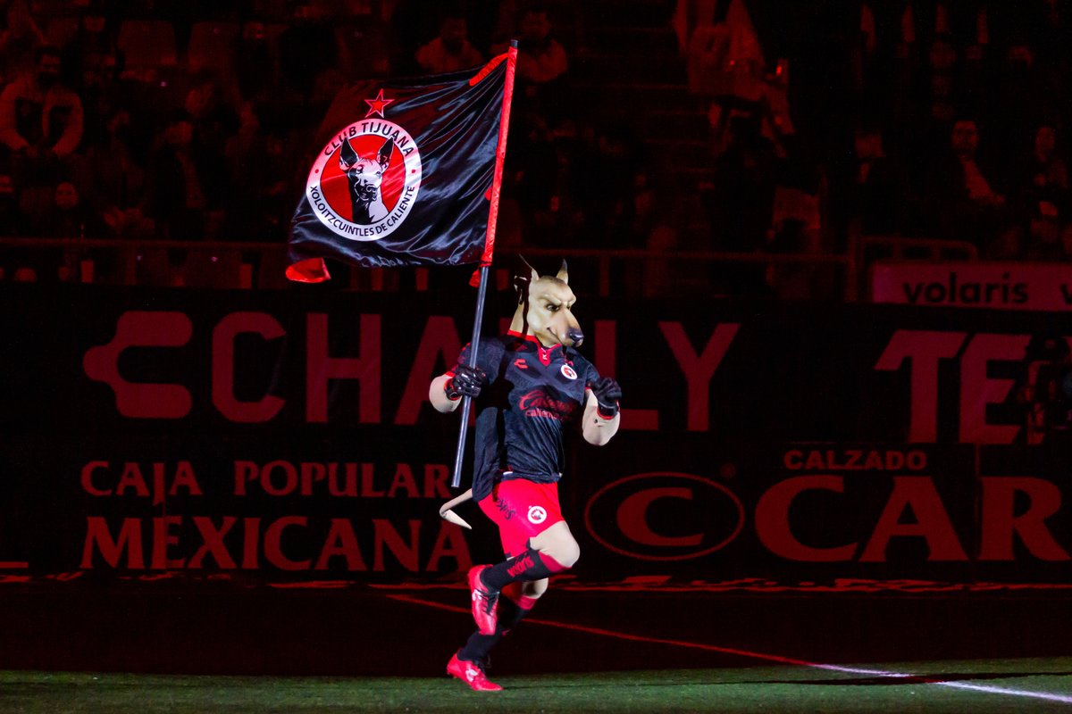 Xolos's tweet photo. El @xolo333  nos hizo recordar las épocas de la Liga de Ascenso con esa entrada perrísima 🐕 🔥 

#PerroAmor https://t.co/Cdzmsm333L