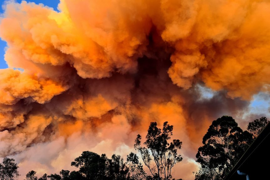 boppinmule's tweet image. Bridgetown and Denmark bushfires: Resident critical, at least five properties lost as blazes rage in WA south 🇦🇺 #Australia #Bushfire #firewarning #SevereWeather abc.net.au/news/2022-02-0…