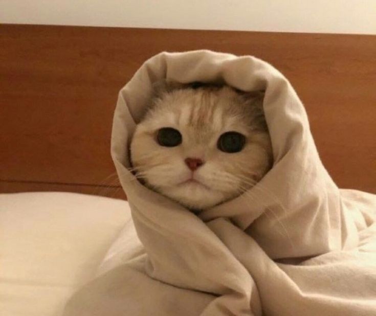 ตื่นยาง