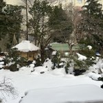 ツイートに含まれる画像