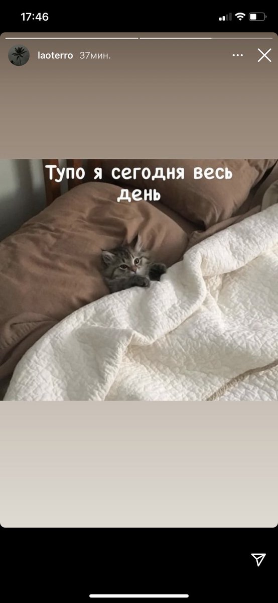 nun_bitch's tweet photo. Муд примерно вот такой https://t.co/NymLsNZIeg