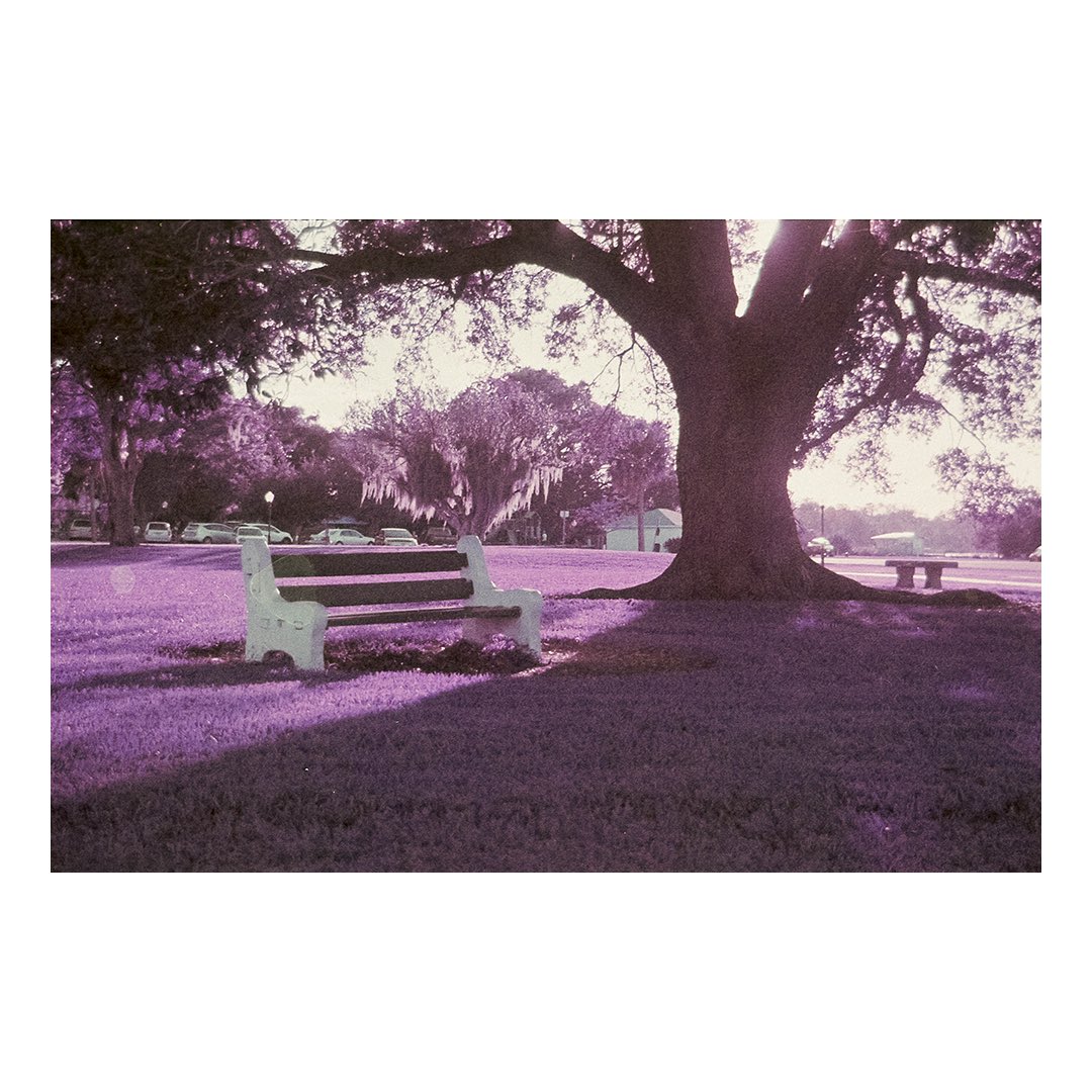 obeyguap's tweet photo. Lomochrome purple has a special place in my heart💜
📸 • Minolta X-700
🎞 • 35mm Lomochrome Purple https://t.co/iSAD3SRPDU