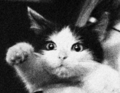 iGameDesigner's tweet image. 