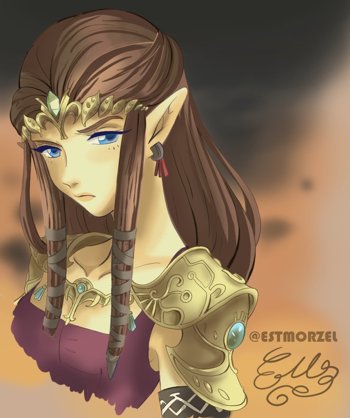 Twilight Princess my girl #zelda #illustration #TwilightPrincess #artist #f...