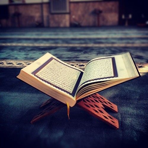 WithMuhamad's tweet photo. "صلاة الجماعة

 قوله جل وعلا في صلاة الخوف: ( وَإِذَا كُنتَ فِيهِمۡ فَأَقَمۡتَ لَهُمُ ٱلصَّلَوٰةَ فَلۡتَقُمۡ طَآئِفَةٞ مِّنۡهُم) [النساء: 102]، حيث أمر الله تبارك وتعالى بالجماعة في حال الخوف والسفر، فحال الأمن والإقامة أولى.🍃🌼🍃

اقرا المزيد
https://t.co/b7l70lDMwD https://t.co/yeOTIXocRP