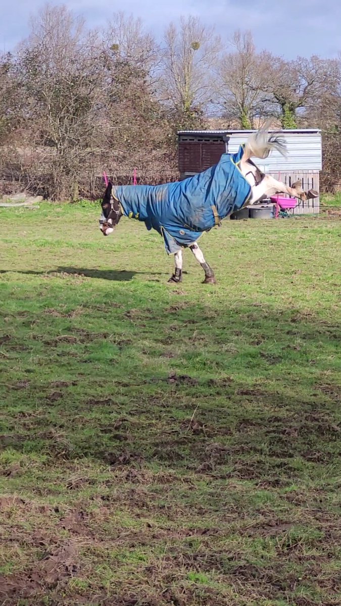 Gem Gilbert tweet media