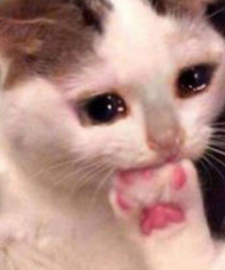 sömestr tatilinin uzatılmasını bekliyorum #SoemestrTatiliUzatılsın