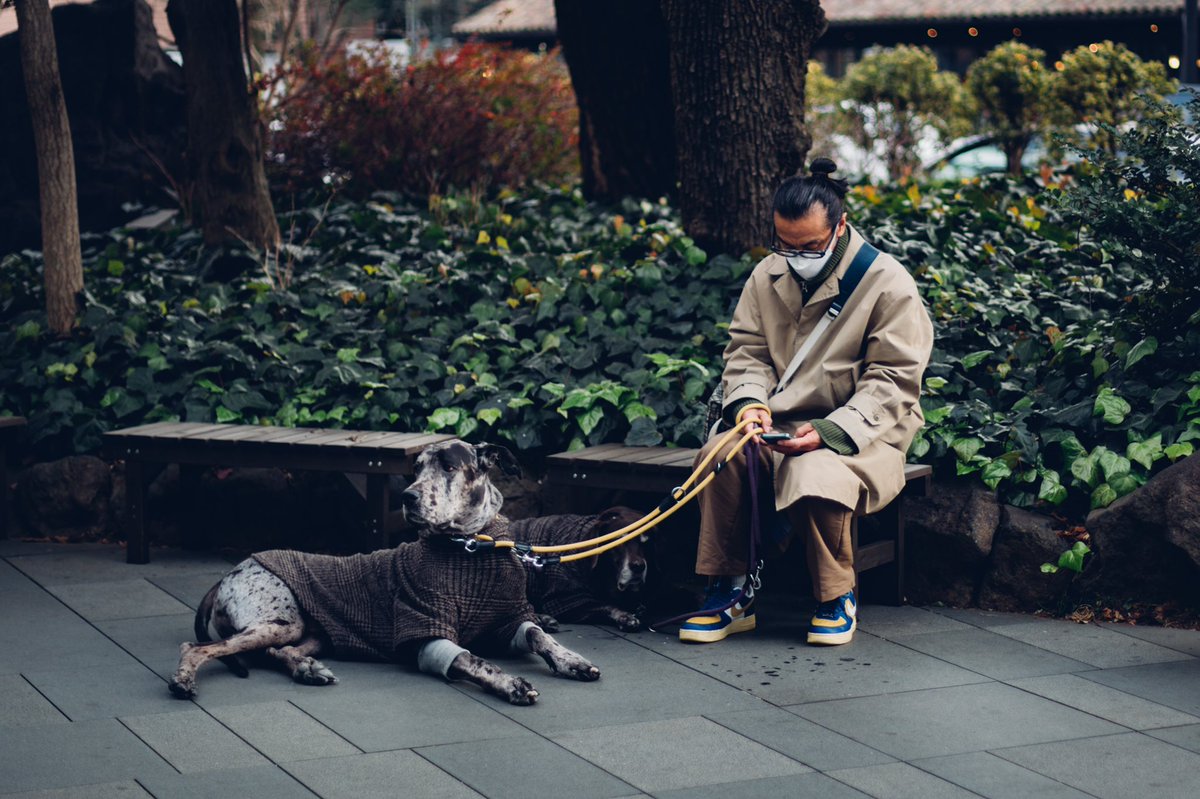 slavapereg's tweet photo. 2 dogs 1 man #streetphotography #streetsofjapan #streetsoftokyo https://t.co/ipjTXKolXj
