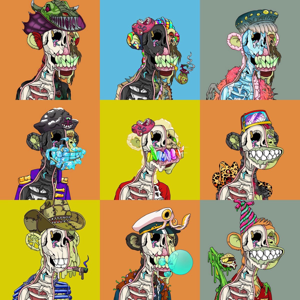 Xaiver77's tweet photo. @AnatomySAC @TheOfficialSFX #WAGGA #MASAC #ASAC https://t.co/Szz2EvjvCc