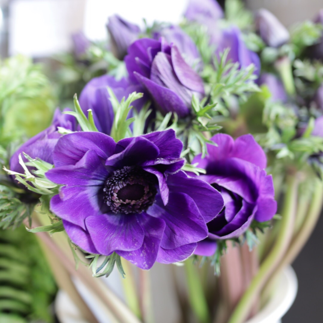 星のフラワー 花屋from茅ヶ崎 Onoieqgmsqgtbgg Twitter