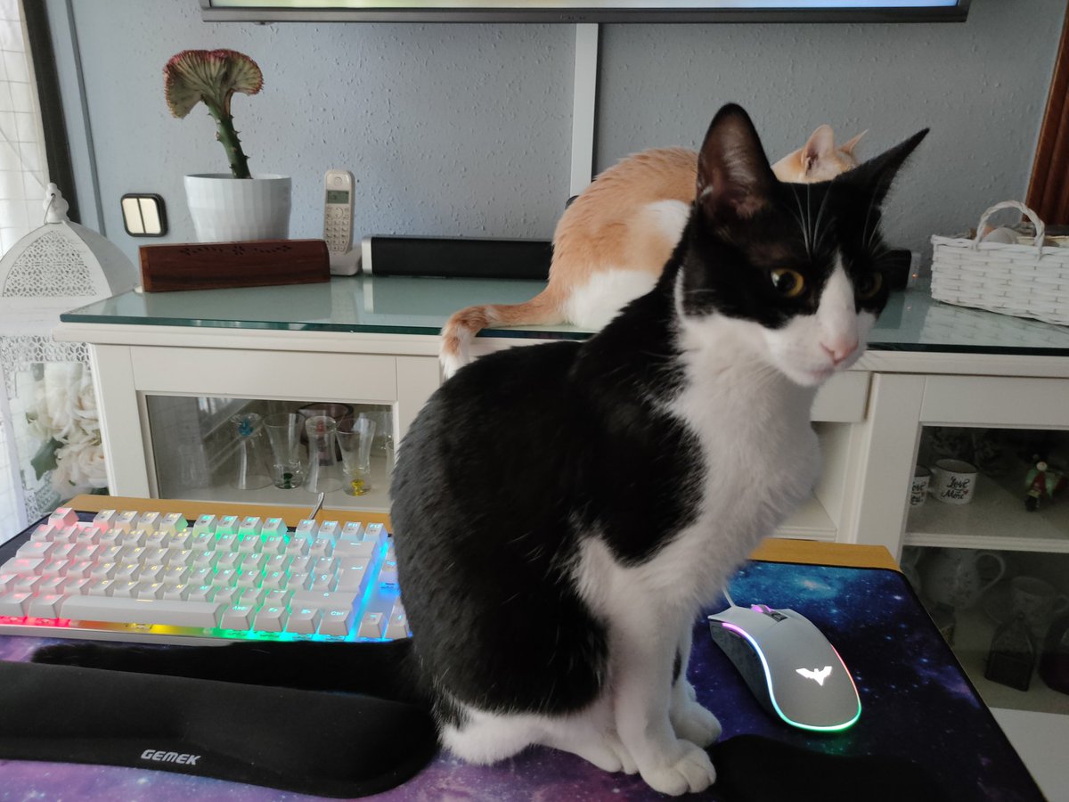 GatunoBlog tweet picture