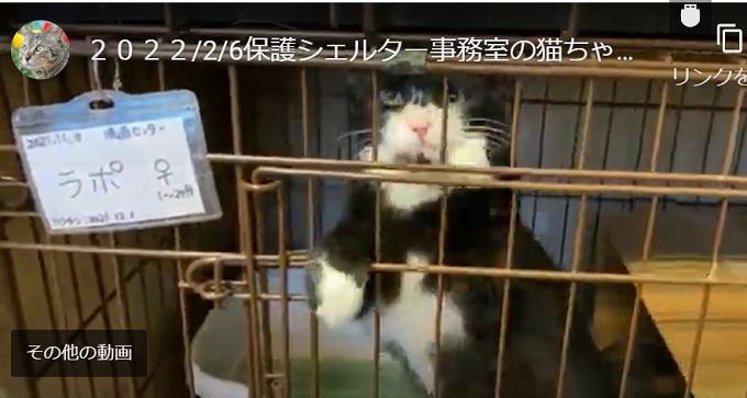 アッキー 0udiduvwzrohwtq Twitter アッキー 0udiduvwzrohwtq Twitter