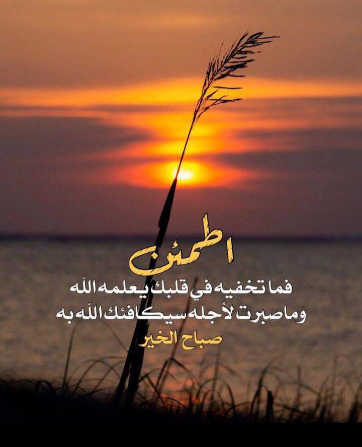 صباح الخير

#صباحيات_lلشتاء 
#صباح_الخير