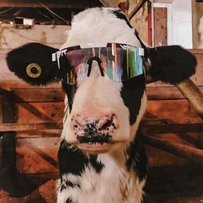 #NewProfilePic