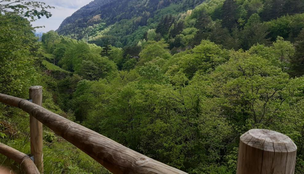Turismo de Aragón tweet media