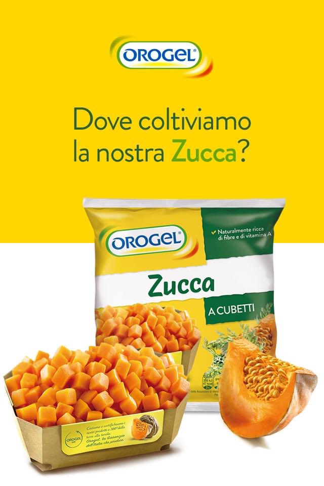 Prepare your favourite recipes in no time with our freshly frozen diced pumpkin. #shoponlinenow octagen.store/r/LrW

#OctagenStore #JustATapAway