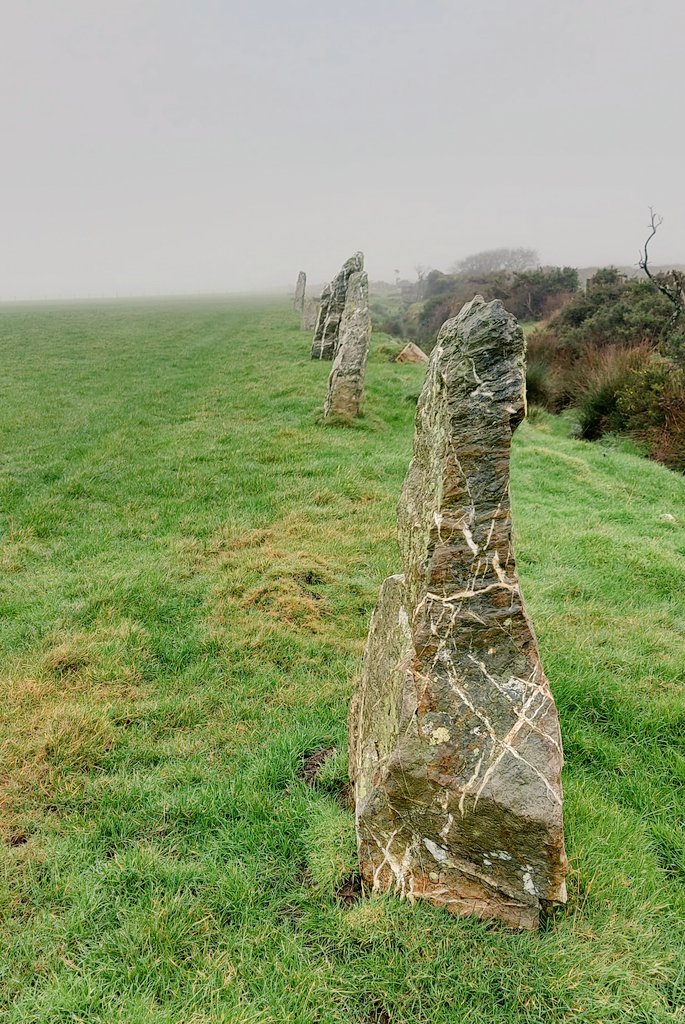 Nine Maidens stone row in the mist #StandingStonesSunday #Cornwall #Megalithic
