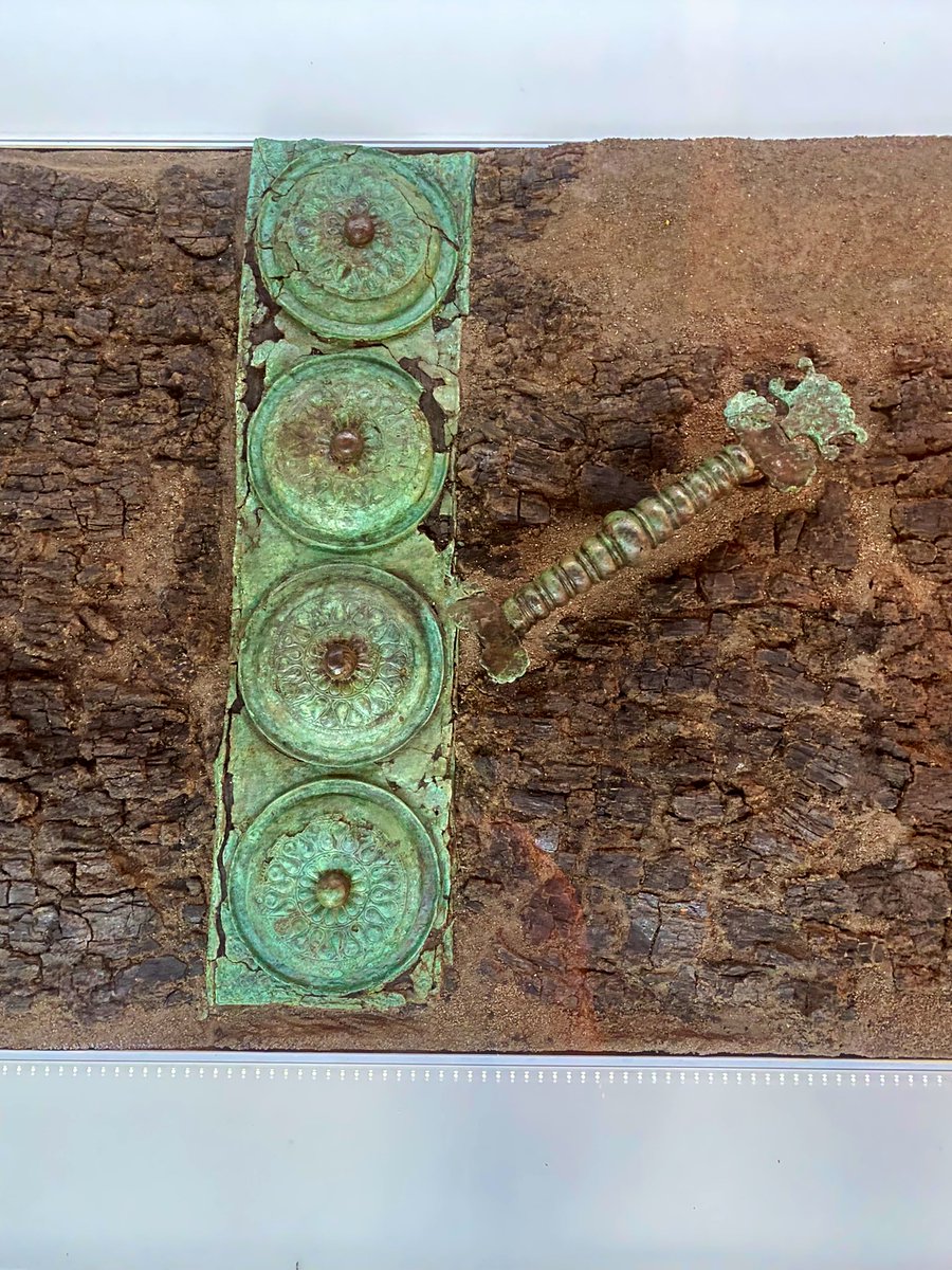 understandrome's tweet photo. I can heartily recommend the Archeological Museum in Potenza @MUSEIBasilicata, it’s very good. https://t.co/phE1EhsUd6