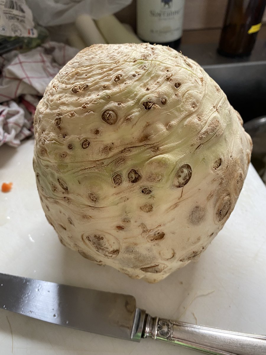 Nath 🍾✈️ tweet media