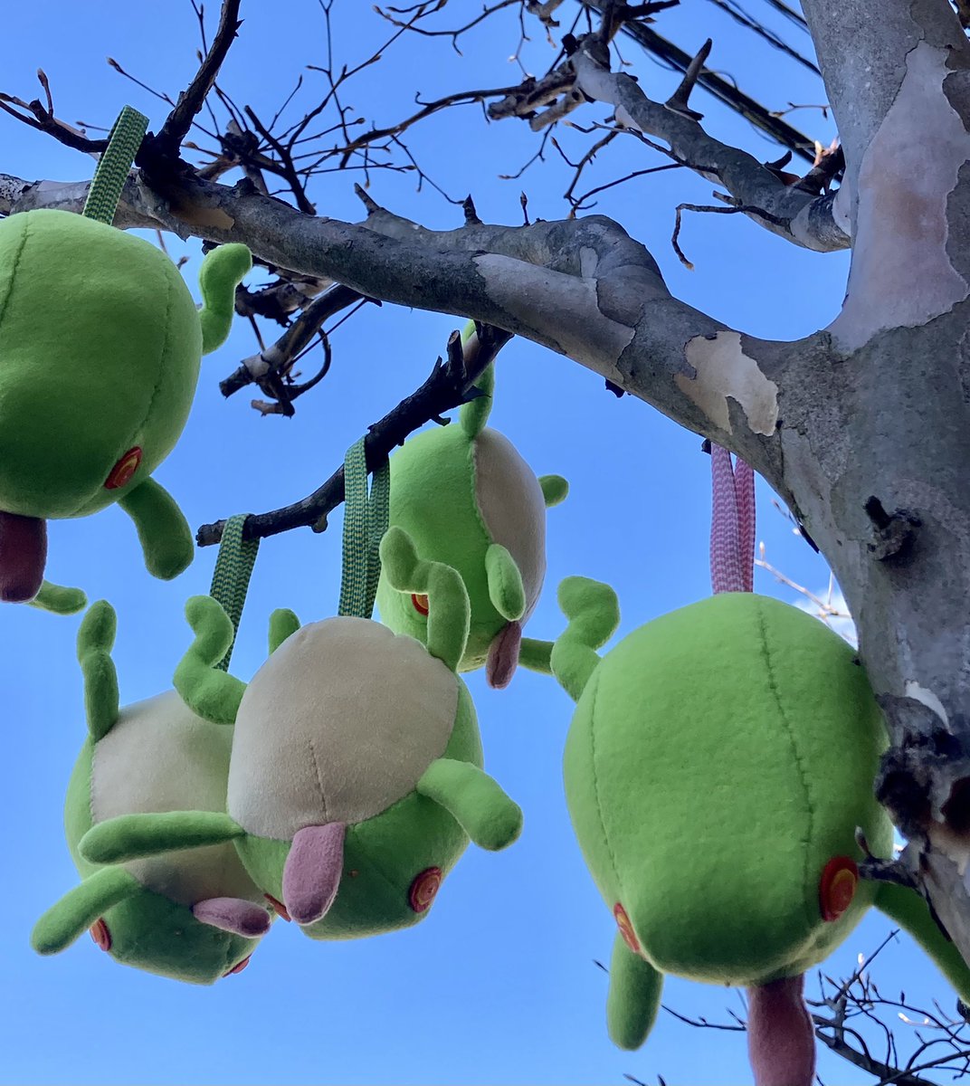 WnHzE96DE8zdCb7's tweet image. まんまるな感じのカエルのぬいぐるみを作りました。中にプラ鈴が入っています。目の部分を前に作ったのより、オレンジにしたから、POPな感じになったかな。
#カエルのぬいぐるみ　#frogplush #カエルグッズ　#ぬい撮り