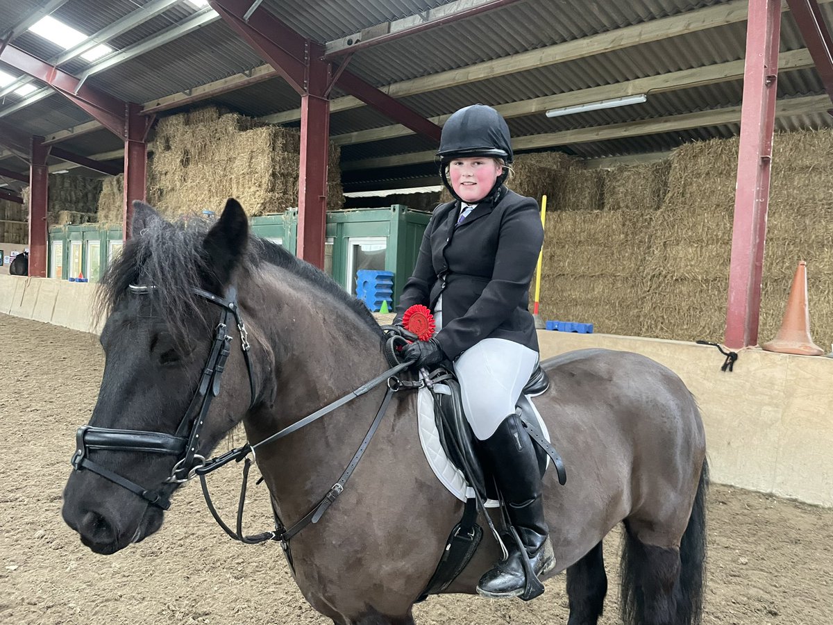 Major progress with Sonny today at the Wilsden Showjumping. 
Sonny was very nervous an scared to start with again. He settled down after warming up. 
Lyla and Sonny completed clear rounds at 55cm and 65cm ✅👏🏼🐴 and 4th place in the 60cm
Very good days progress and super proud ⭐️