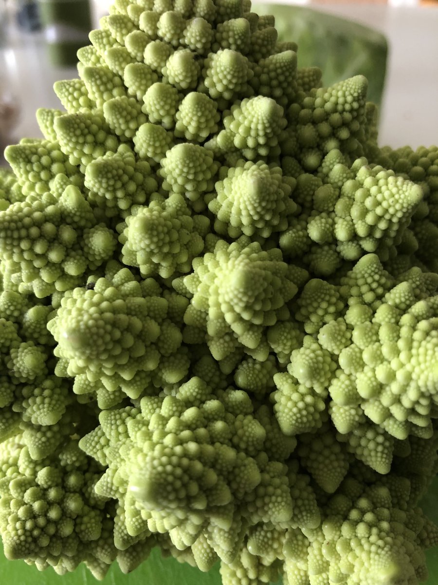 Sunday dinner special veg

Flipping love these patterns