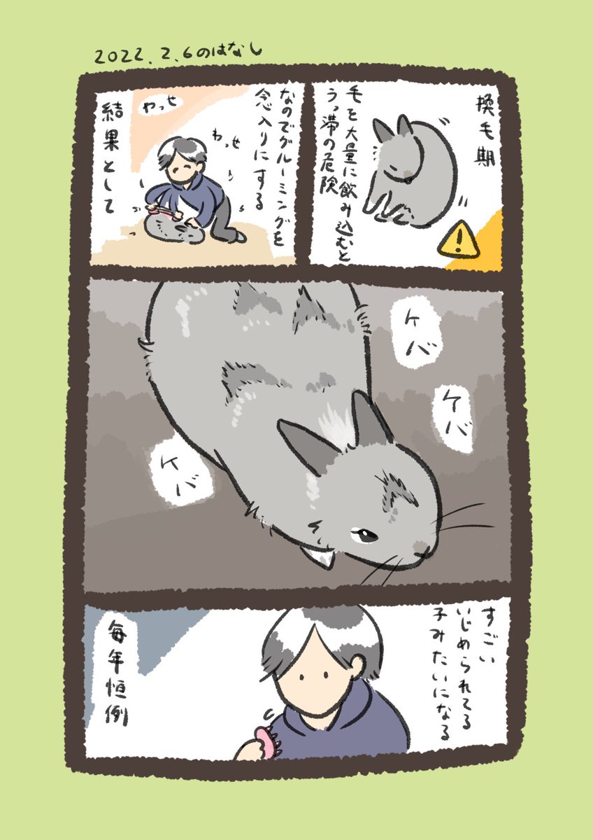 今日のrabbit…
#うさぎのいる生活 
