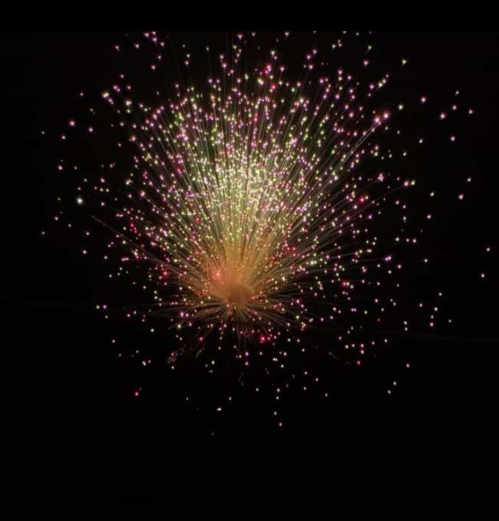 അᏁaമിlᕙᘛ💛 tweet media