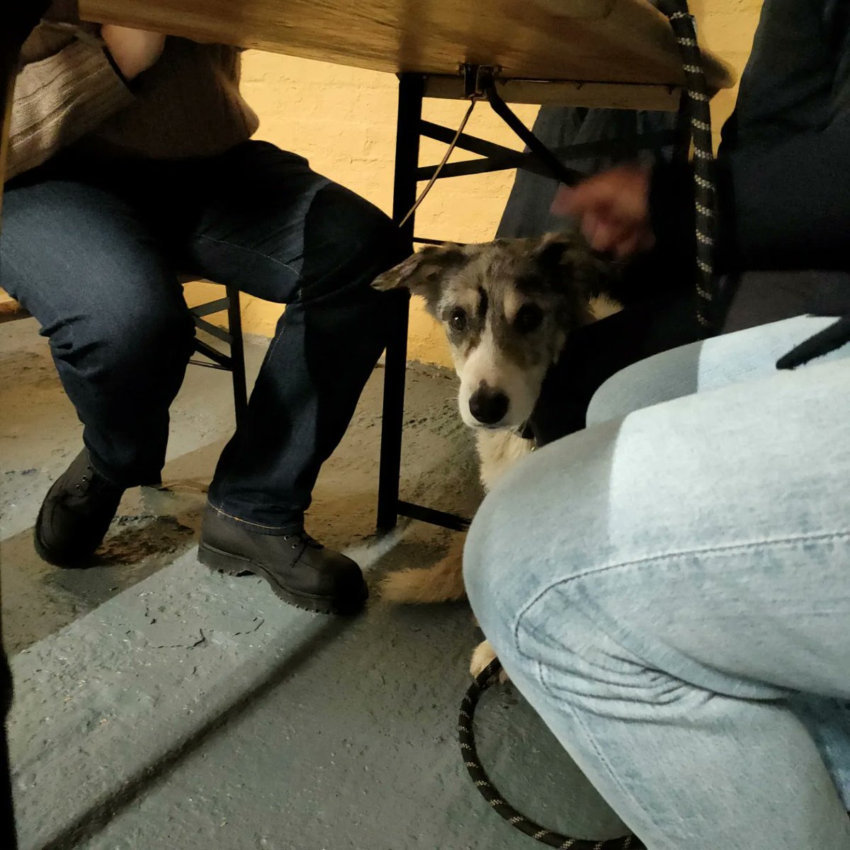 Beer More Social tweet media