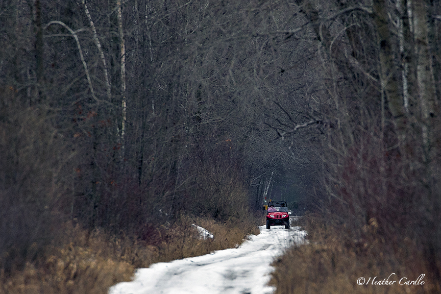 heathercards's tweet photo. #ChickPicotheDay (Day 3,721)
Sunday drive along the road with the short stop signs.
What are you up to today?
#EOTA #HastingsCounty #Tweedness #HeatherCardlePhotographer #LittleRedSidebySide
#HoldMyBeer https://t.co/bAXsu9P7TB