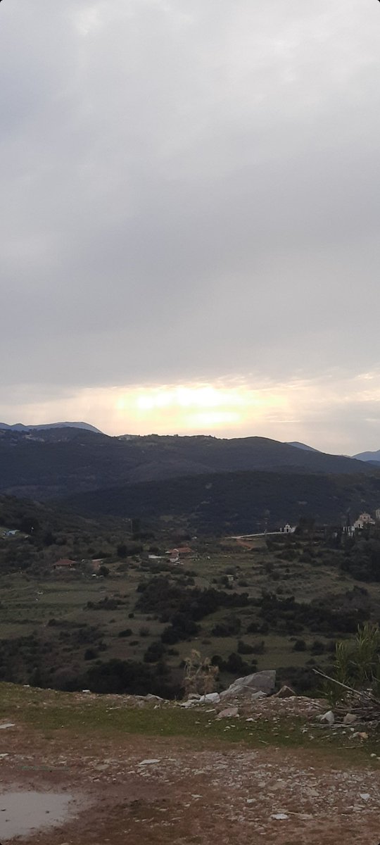 Absolute Mirror of Equity (MirrorofEquity) Twitter