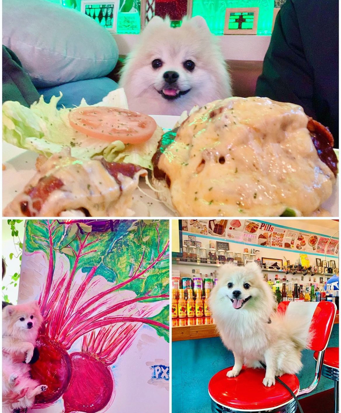 Cafepxyokohama Pxyokohama Twitter