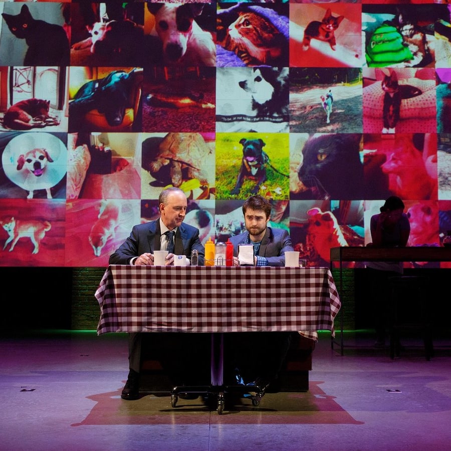 Danradgermany's tweet image. 🎭
#danielradcliffe #privacyplay