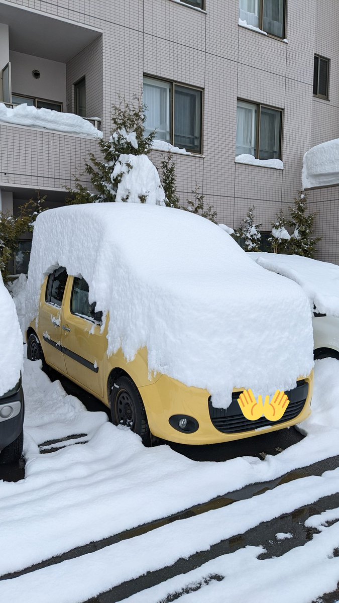 cobbykeen's tweet photo. 24時間で積もりすぎ。
除雪が大変。 https://t.co/HBkwKcl315