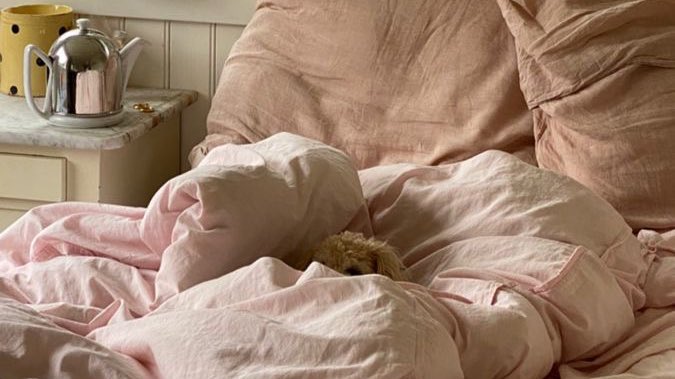 girlbisous's tweet photo. resting is productive https://t.co/NefH8gjolh
