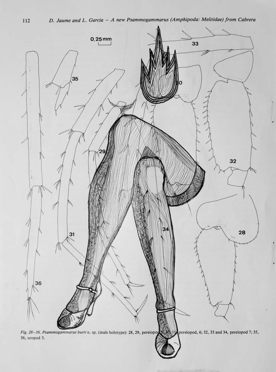 MoixaM's tweet photo. Mistress Perenque

MUGRÓ m.
|| 1. Protuberància central de la mamella, per on els petits l’emboquen per a xuclar; cast. pezón.
(Diccionari balear-català-valencià)

La web: https://t.co/Y5ULYnBjh2

Ens Ajudes a seguir creant?
https://t.co/WiYNI2h2to https://t.co/d30vbsUcRl