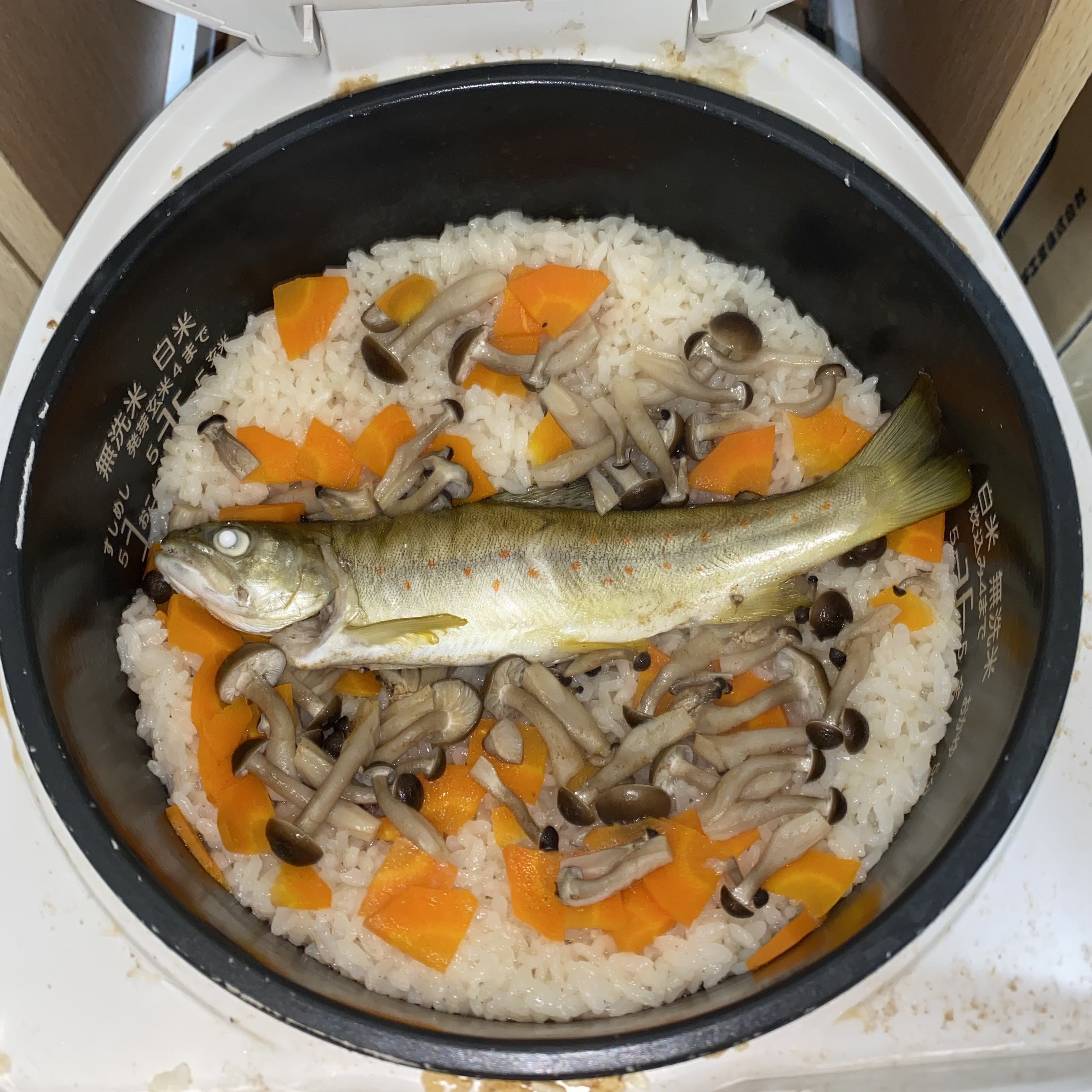ふぃっしゅϵ 8 ブラウントラウトの炊き込みご飯は美味しかった T Co Kpakmt9xs5 Twitter
