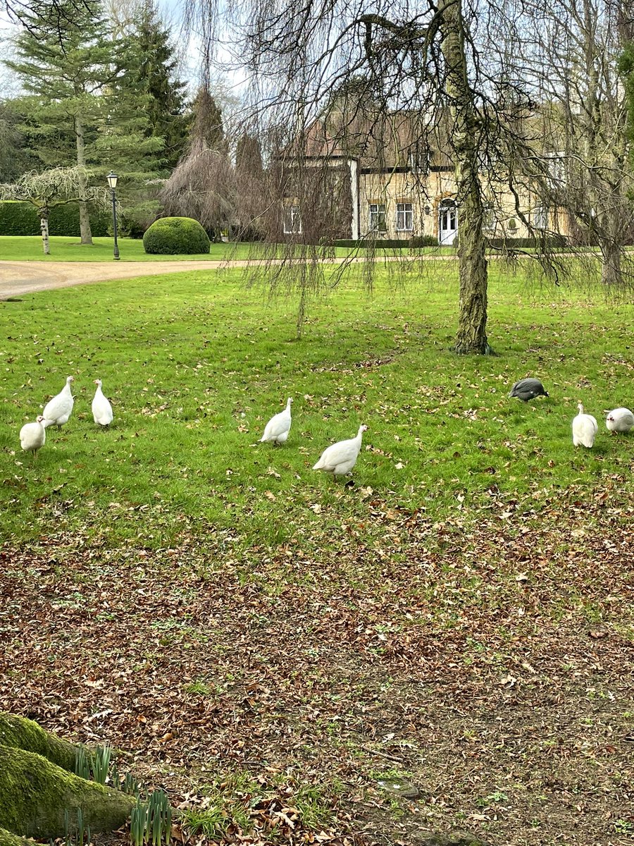 Happy Sunday 🌟🌟